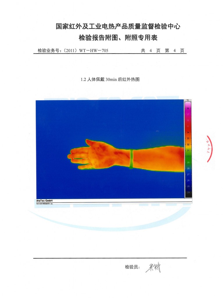 Noproblem Ion Balance Test Report (Pg 6/6)