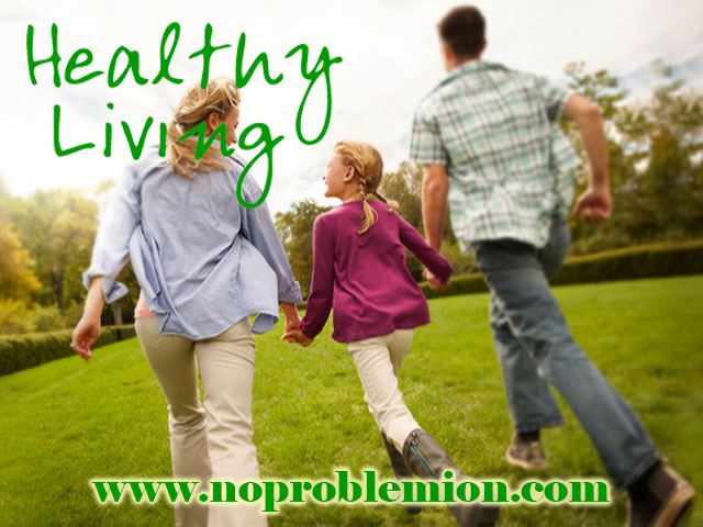 Healthy Living www.noproblemion.com