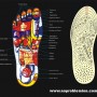 Bio-Insole Helps Digestive Disorders